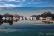 49图库-指标解释-按年份，49一图库